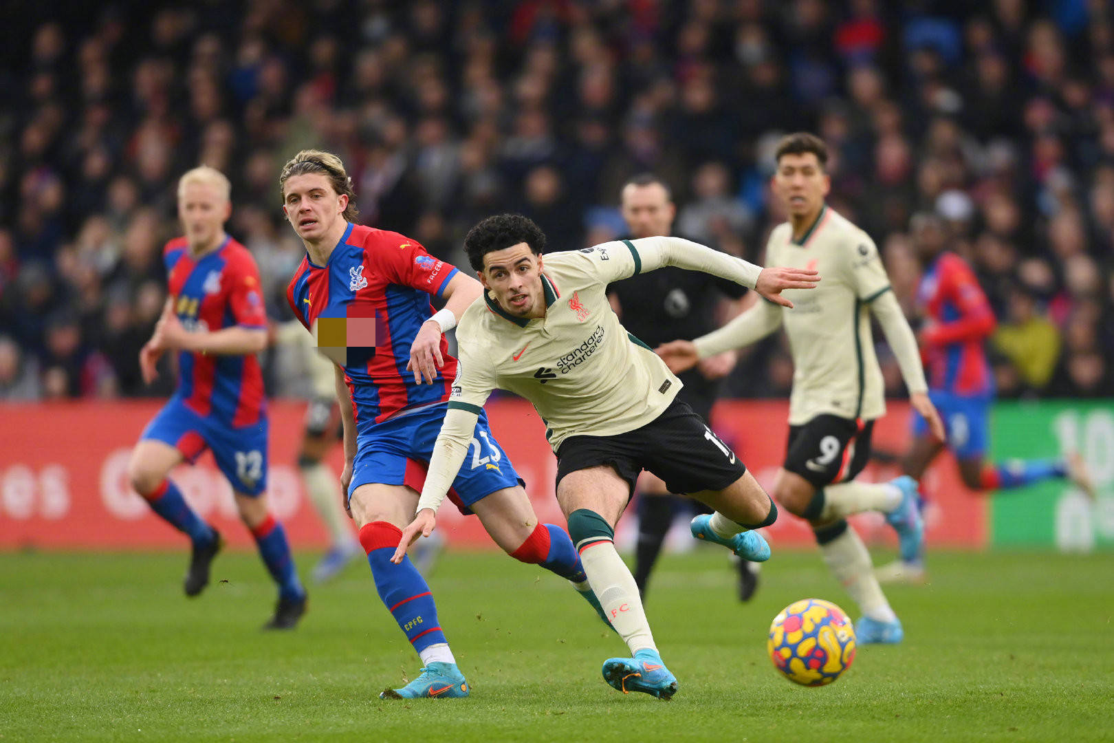 赛事冠军奖 赛事冠军奖