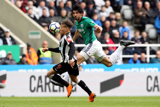 无私地燃烧 无私地燃烧